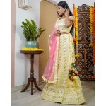 Dazzler Lehenga with Canvas Set